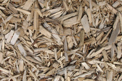 biomass boilers Farndish